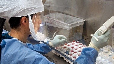 Zdjęcie zawodu Epidemiolog