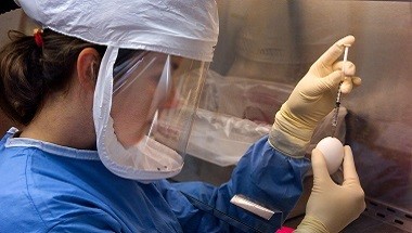 Zdjęcie zawodu Epidemiolożka